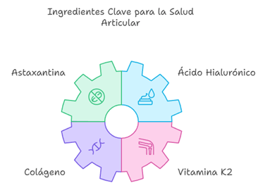 Ingredientes clave para la salud articular